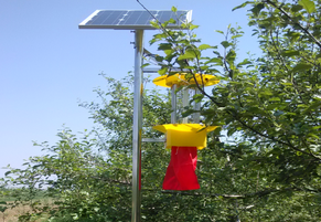 太阳能杀虫灯助力绿色农业
